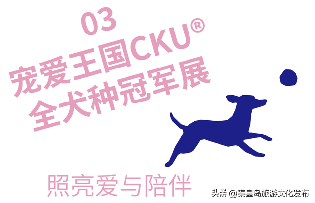 阿那亚十一海边游玩指南｜舞蹈节、雀跃镇大师赛、狗狗聚会、艺术展览，邂逅理想假日
