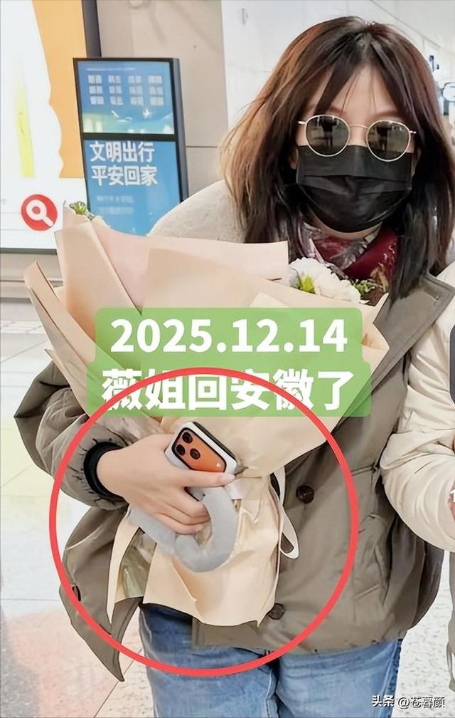 落地凤凰不如鸡！赵薇回老家探亲，全副武装包裹，不敢露脸怕见人