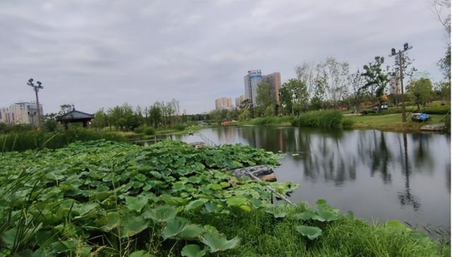 古城公园寻故事 孝文化园拾感动 博物馆涨见识 祥云湾看风景