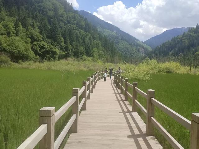 黄龙、九寨、都江堰随记Day3九寨归来不看水