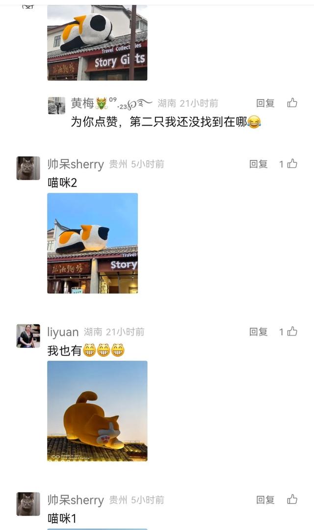 一周看点 | 一只“流量猫”，魅力有多大？
