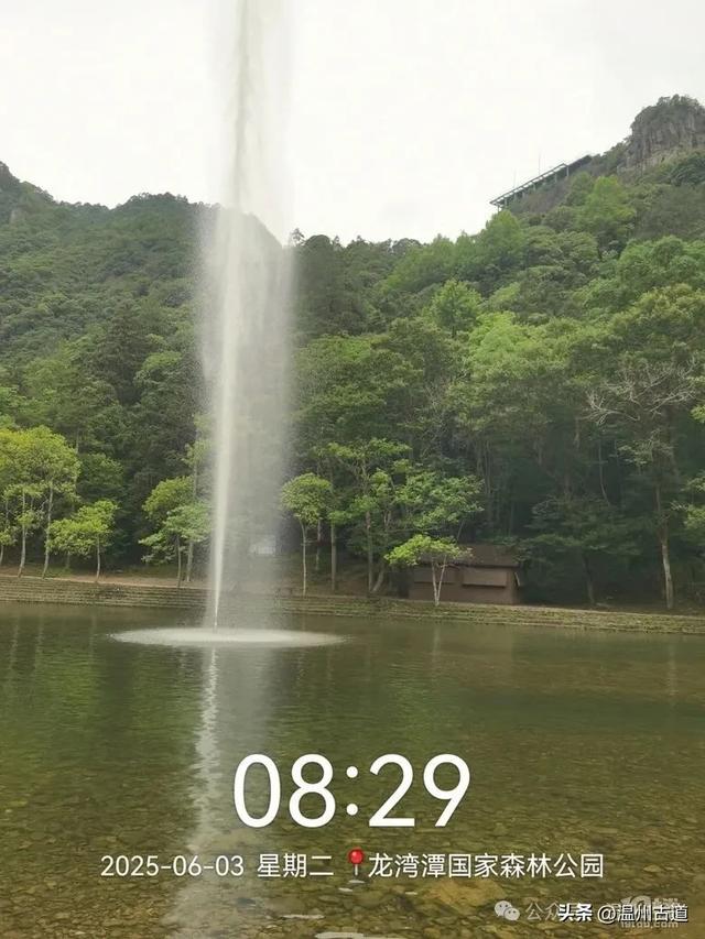温州这个亲子游玩胜地、植物自然课堂孩子玩嗨家长不累