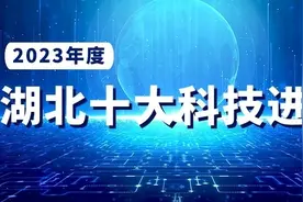 2023年度湖北十大科技进展 | 武大这项研究 有望实现给水稻打“疫苗”图片