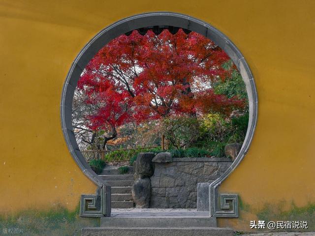 苏州居然还藏着一个“中国四大枫叶胜地”！