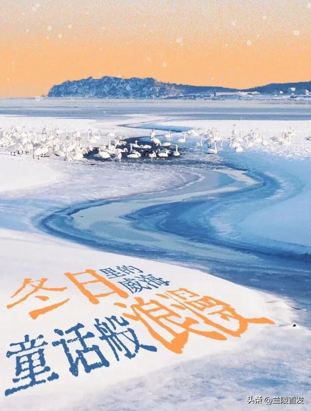好客山东好品山东｜初雪来了！山东变山“冬”