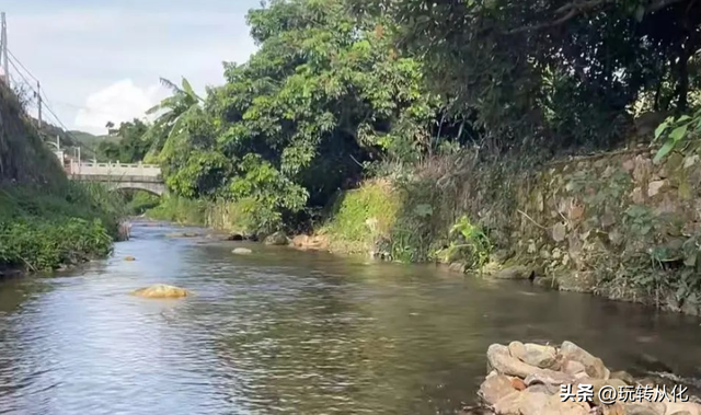 从化溯溪秘境盘点：在溪水竹林间，走进岭南最清凉的山水情
