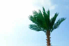 一个女人的性格好不好，从她吃饭的样子就能看出来，很准图片