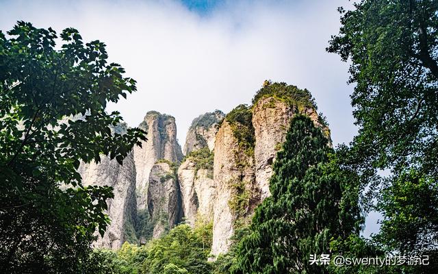 逃离酷暑，我在温州清凉一夏
