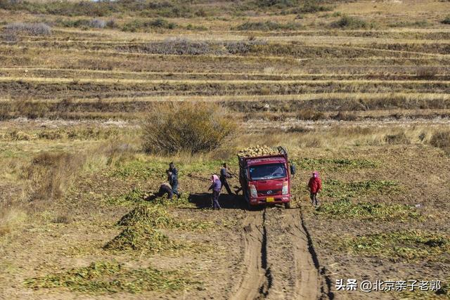 北京周末自驾新选择！全家重阳出游人少景美