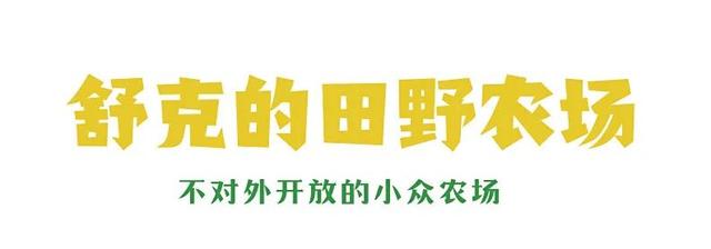 挖到长沙7个“野生宝藏地”！娃疯玩，我躺平！