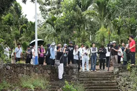 产业振兴有“荔”量，海口秀英火山荔枝王铺就乡村“甜蜜”致富路图片