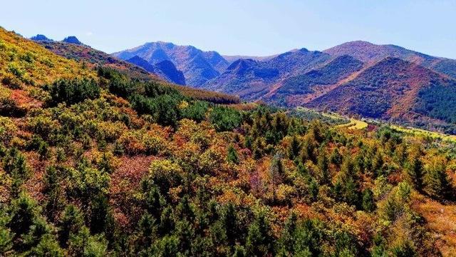 走进赤峰马鞍山林场 邂逅绚烂山林秋色