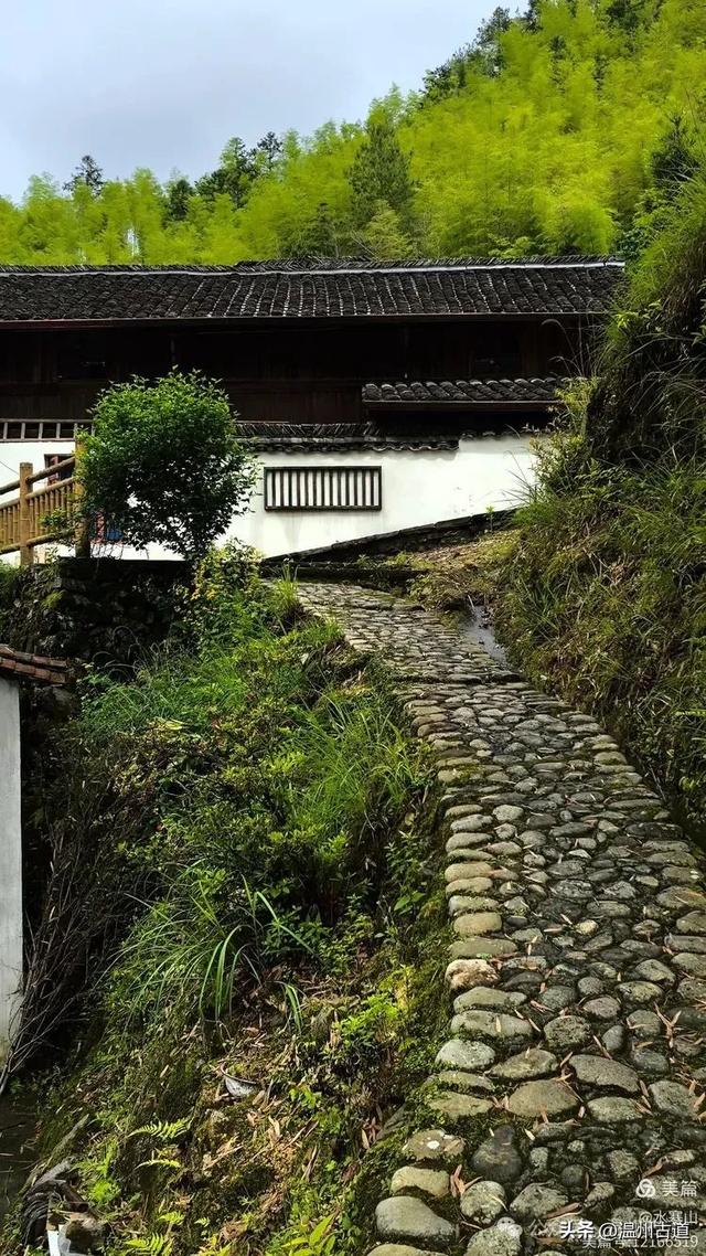 一枝红杏出墙来！探秘叶绍翁故居，世外桃源般的古村落！