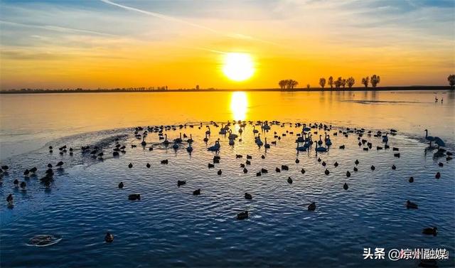 被甘肃“暖”到了！