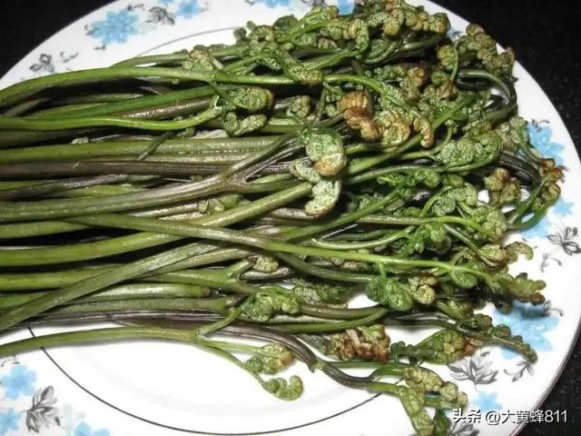 认识大美河南的每个县——第七波：栾川