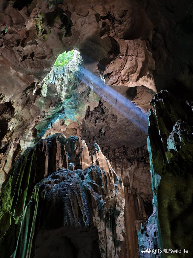 马来西亚(32)砂拉越州⑥世界遗产尼亚洞窟探险