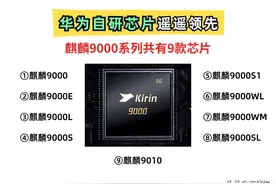 华为自研再次遥遥领先！麒麟9000共有9款芯片，谁的性能最强？图片