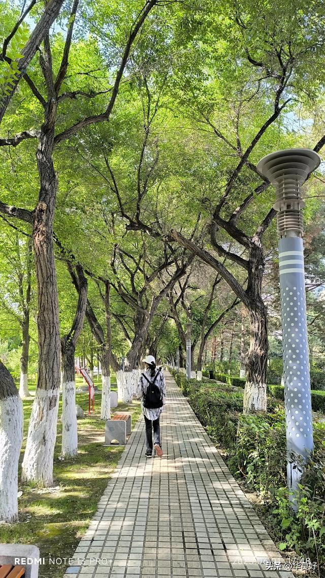 过境奎屯·宁静干净红火的小城——再赴新疆日记之七