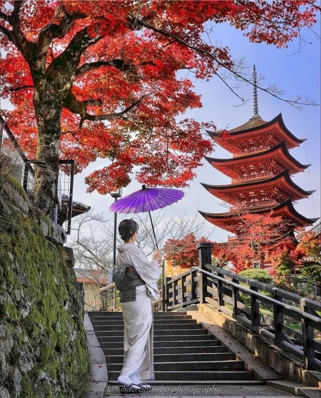 京都红叶狩完全攻略:从绝景到舌尖的秋日盛宴