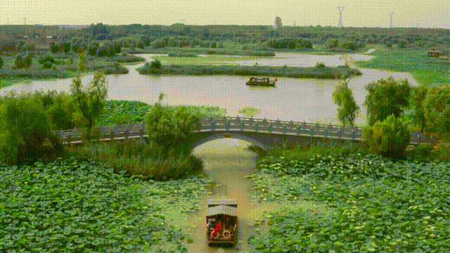 全国精品景点线路，淄博一地上榜！一起消夏去~