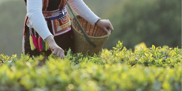 跟着“滇超”游玉溪丨解锁峨山彝文化沉浸式体验之旅