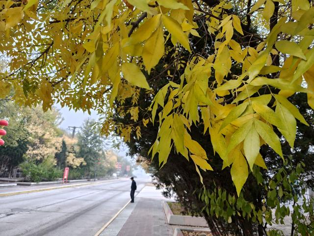 人生处处皆美好