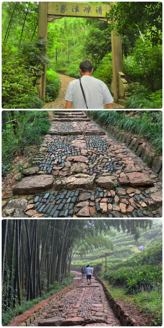 径山环线：10公里禅意之路，素面必尝｜杭州小而美徒步路线