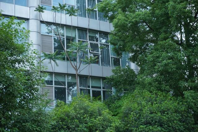 知情人披露成都女子家门口遇害案庭审细节：死缓判决背后的四大焦