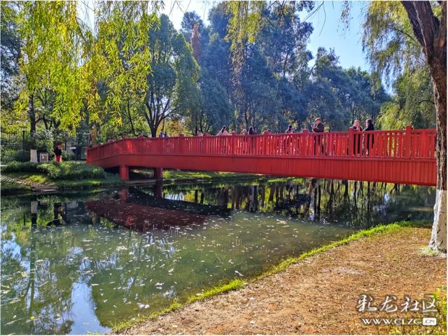 采莲河畔好风光