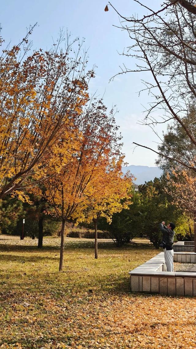 快看！京西福地门头沟已经满是秋天的颜色——