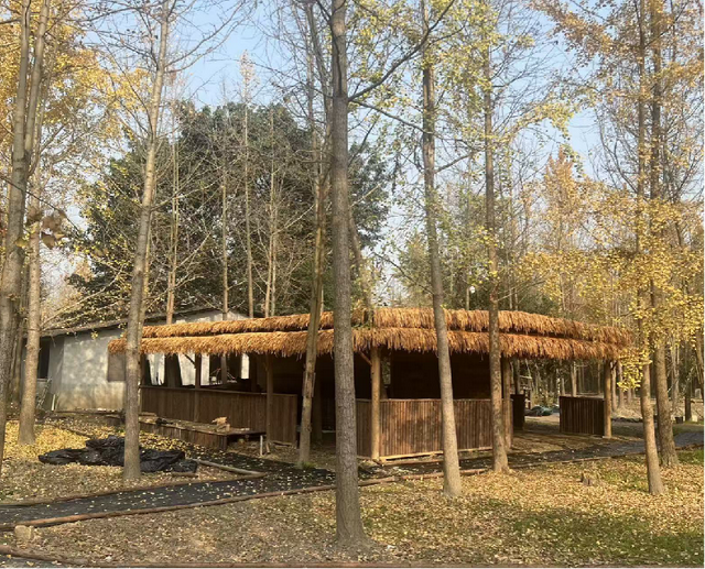 即将正式营业！金堂又将新增一处游玩打卡地！