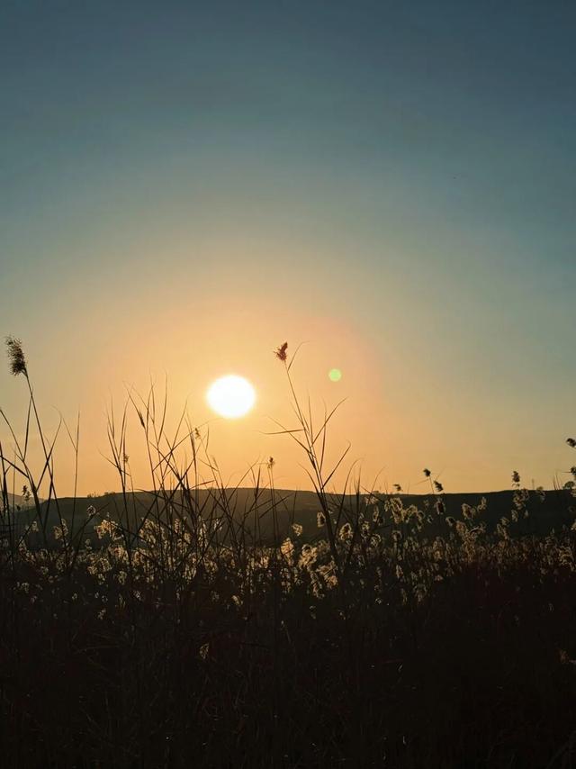 【文明旅游】太原市娄烦县：别留遗憾！娄烦湿地公园藏着秋日绝美秘境，这周末速冲打卡！
