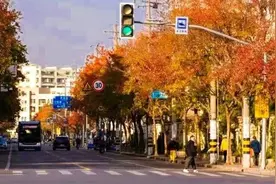 太美了！又到了大自然打翻“调色盘”的季节图片