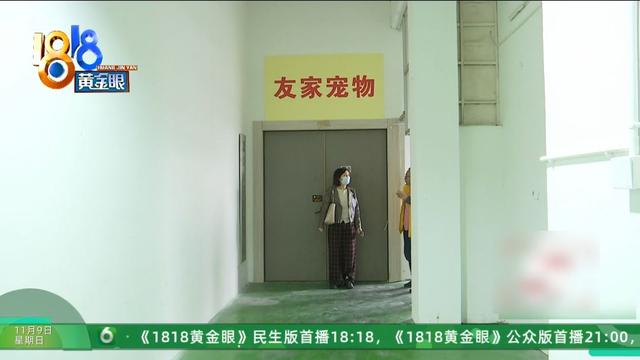 怎么又是这？她还拿出视频，里面“一动不动”，停了几只苍蝇....