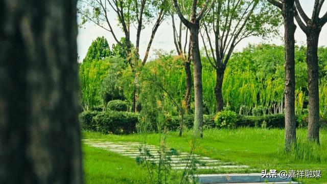 嘉祥吉祥湖湿地公园，随手拍都是森系大片