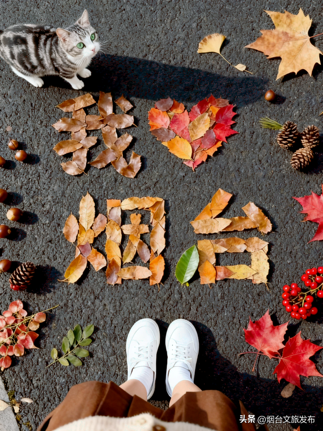 【乐游烟台】低头捡个秋！我收藏了整个烟台的秋天