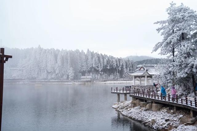 绝美！明月山今日雪景持续放送，速来打卡！