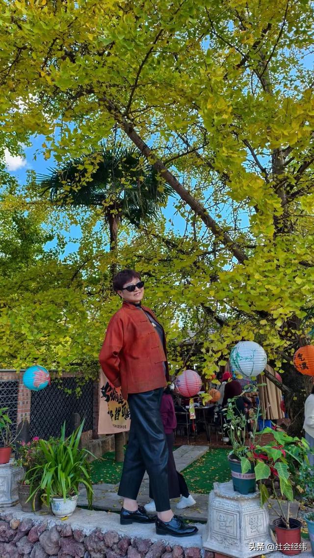 金色童话！腾冲千年银杏村，巷陌皆染秋光醉