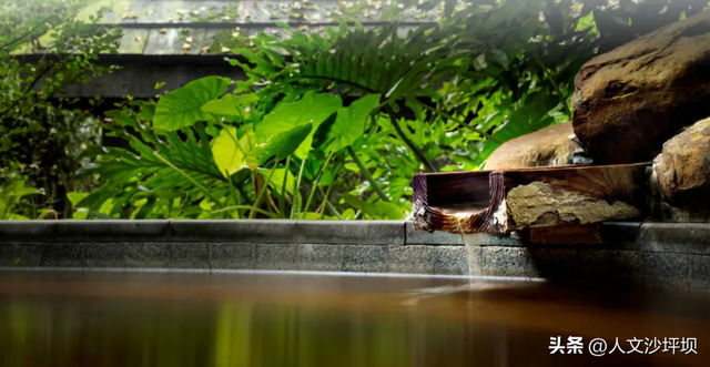 等你解锁！沙坪坝“隐藏副本”开启！