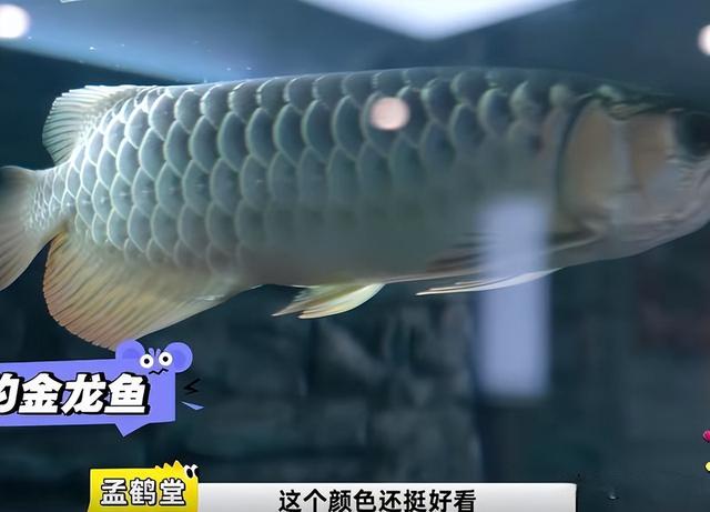 钱再多有什么用？官方出手揭开于谦真实现状，终是步上何炅的老路