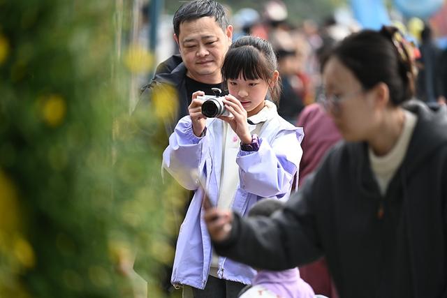 仪式感拉满 中山公园第41届菊展邀你共赴秋日之约