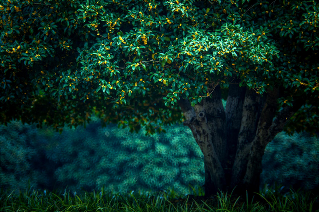 准备了一肚子的词没用上，逃离，硬座124元：奔赴一场生命的湿润