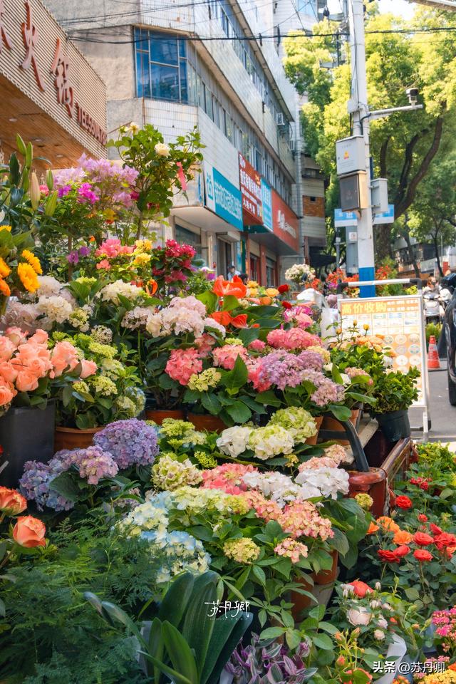 武汉周边游！发现了一座“去班味”的宝藏小城：春末夏初citywalk