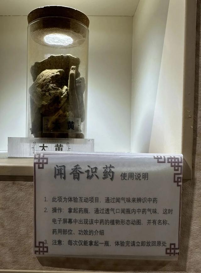 走，去中医药博物馆看玛瑙（说笑了~）
