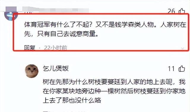全红婵家新房建设最新进展：遭遇施工阻碍，邻居拒绝修剪树木。