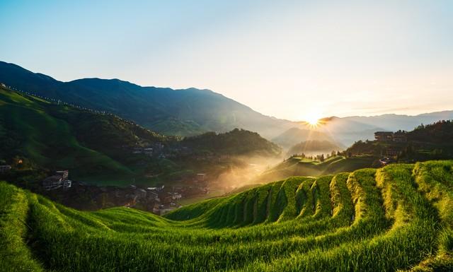 上个月去了趟广西桂林，我实话实说：当地人的淳朴劲让我眼界大开