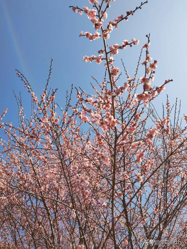 土楼拾光③:梅林古镇（2025.2.11 漳州·南靖）