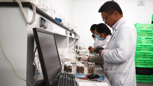 电影照进现实？中国给未来存上备份，打造野生生物的“诺亚方舟”