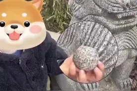 小孩从石狮嘴里拿出圆球放不回去，网友表示把狮子逗笑就放进去了图片