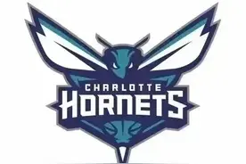 从NBA队徽看队史——夏洛特黄蜂队图片